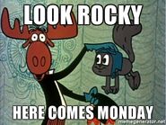 Look-rocky-here-comes-monday