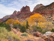 ZION ENTRANCE