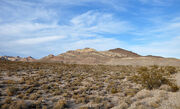 Amargosa desert