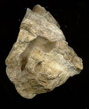 Calcáreo Travertino1