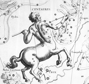Centaurus hevelius