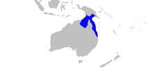 Neotrygon picta rangemap
