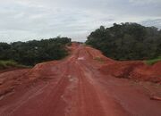 Tranzamazonian Highway