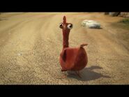 A Brown Chicken Now Looking At Them