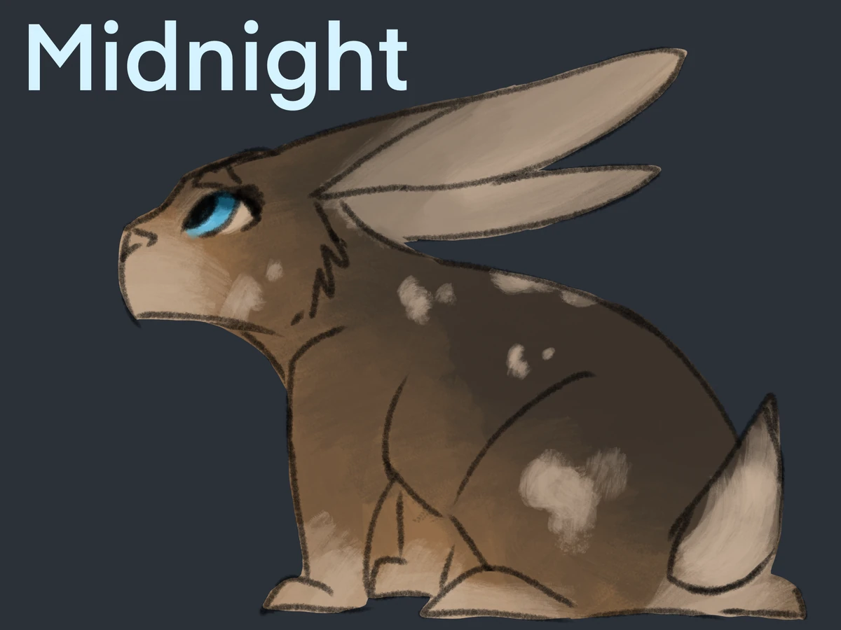 Midnight | Rabbit VS Foxes RP Wiki | Fandom