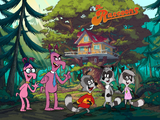 The New Raccoons