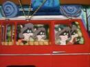 Raccoon Family Vacation