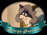George Raccoon
