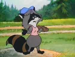 Melissa Raccoon Gallery The Raccoons Wiki Fandom