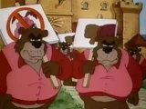 The Bears