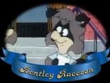 Bentley Raccoon