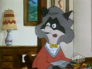 George Raccoon (12)