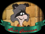 Bert Raccoon