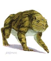 Grolm2.jpg