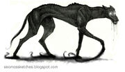 Darkhound4.jpg