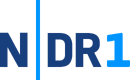 Thirteenth logo (2016 to 2021)