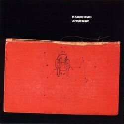 Radiohead Amnesiac Special Book Cd | eBay