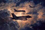 Operation Black Buck.jpg