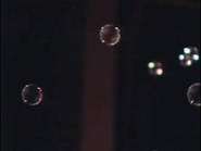 The bubbles