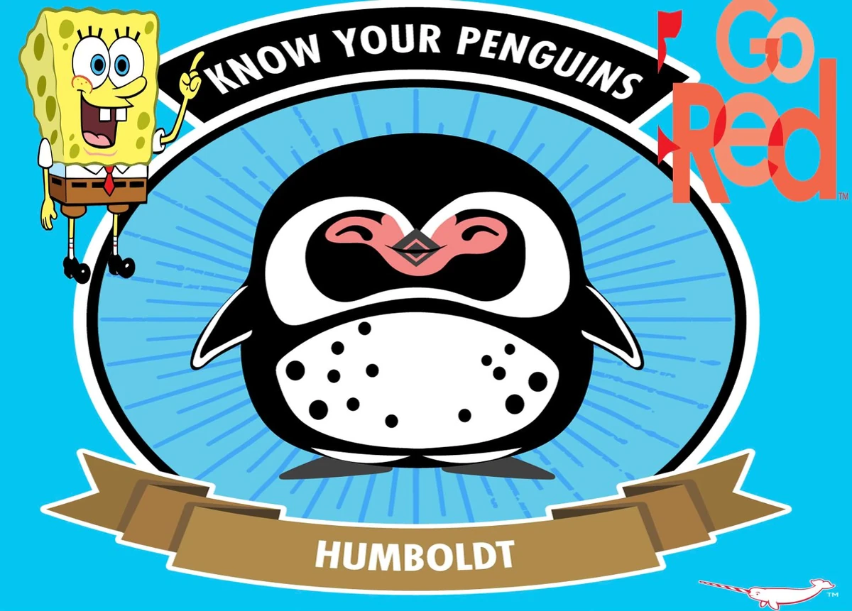 Humboldt Penguin | Raffi Wiki | Fandom