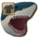 Shark Head