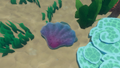 Giant Clam underwater.png