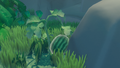 Watermelon on island.png