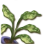 Tangaroa Plant1