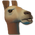 Llama