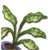 Click here to see information about this file