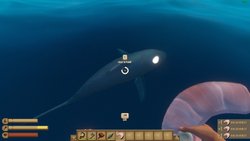 Player Looting Raw Shark Meat.png