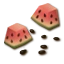 Watermelon Seed