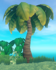 Palm Tree