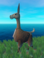 Standard Skin Llama (88%)