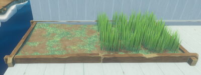 Raft - Grass Plot