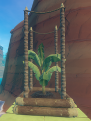 Banana Plant on Raft