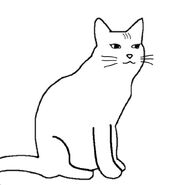 Catjak (not to be confused with that other Catjak)