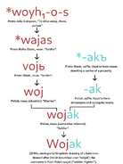 Ethymology of the Wojak name