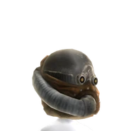 Shrouded Clan Helmet Prop.png (42 KB) Shrouded Xbox 360 avatar prop