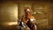 A Shrouded AR, from the "Fame and Glory" trailer