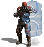 Authority Shield Guard