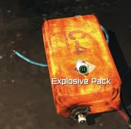 Somewhere in the Wasteland