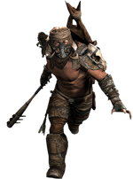 5 jackal