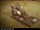 Hover Boat