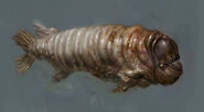 Concept of the Maggot Fish model by artist Ben Olson