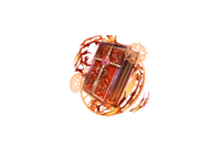 Full Image