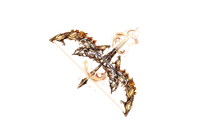 Full Image