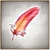 Flaming Bird Feather