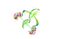 Full Image