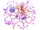 (Charming Scent) Freja